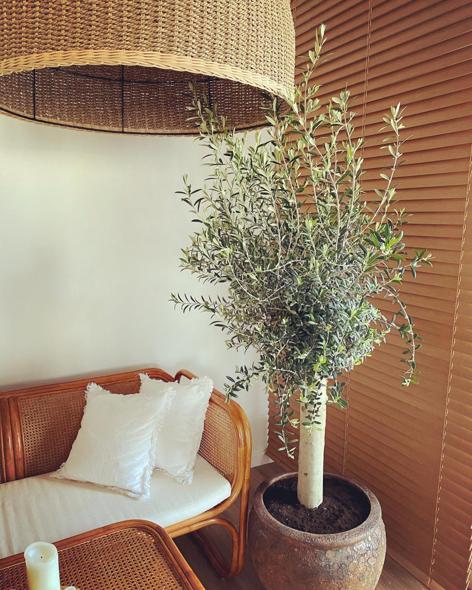 Boho Butikowe Apartamenty Jastrzębia Góra エクステリア 写真